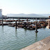 01-SFO-06.JPG