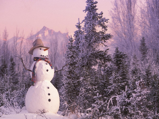 winter wallpaper snowman