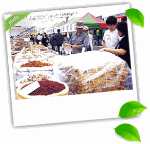 Yeongcheon Herb Medicine Festival