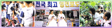 Yeongcheon Fruits Festival 01