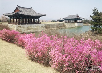 Gyeongju Anapji Pond 07
