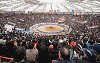 Cheongdo Bullfighting Festival dome stadium 