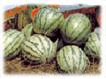 [Uljin Bok Watermelons[4].gif]