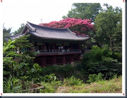 Pohang Deokdong Cultural Village 04