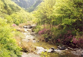 Cheongsong Juwang valley in Mt Juwangsan 01