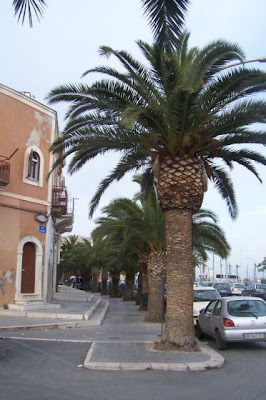 Manfredonia, Palme