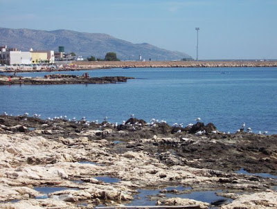 Manfredonia, Al bagno sulla scogliera