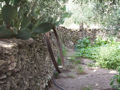 Manfredonia, Orto in loc. S. Tecchia