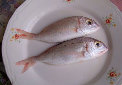 Manfredonia, Pagelli