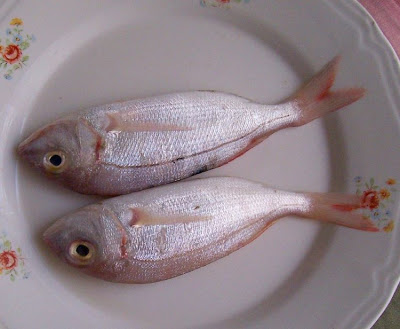 Manfredonia, Pagelli