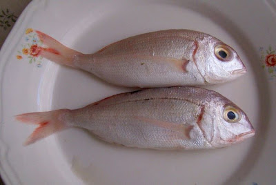 Manfredonia, Pagelli