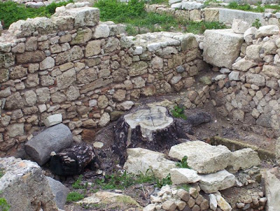 Manfredonia, Basilica paleocristiana di Siponto - Ruderi