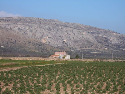 Manfredonia, Paesaggio garganico