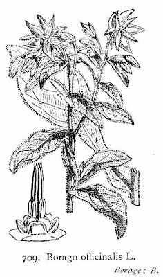 Burrage