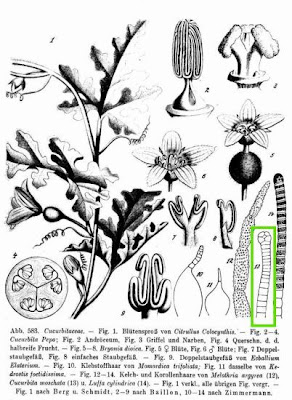 P�tisson