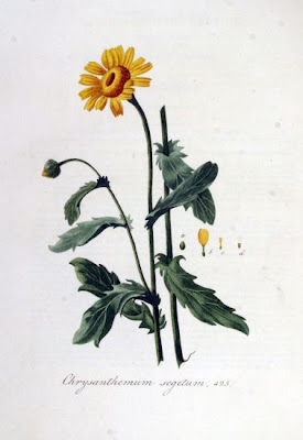 Ingrassabue