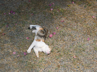 IMG_3765.JPG