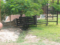 IMG_3748.JPG