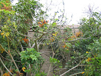 IMG_3044.JPG