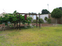 IMG_3046.JPG