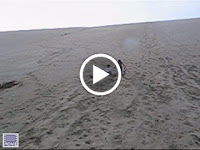 MVI_6258.AVI
