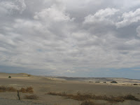 IMG_6237.JPG