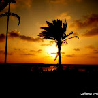 صور من الطنطورة