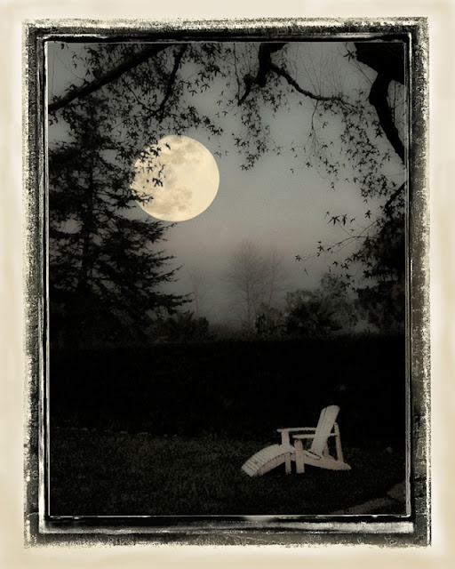"Wolfmoon" - Patti Gutshall