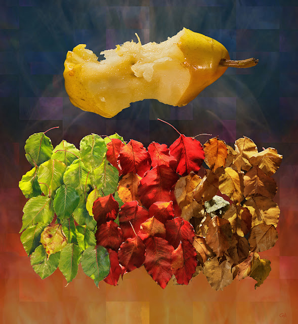"Pear Season's End" - Gerry Aspen