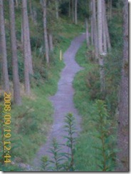 Bwlch Nant Yr Arian (1)