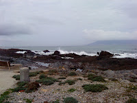 DSC01285.JPG