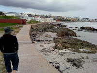 DSC01283.JPG Photo
