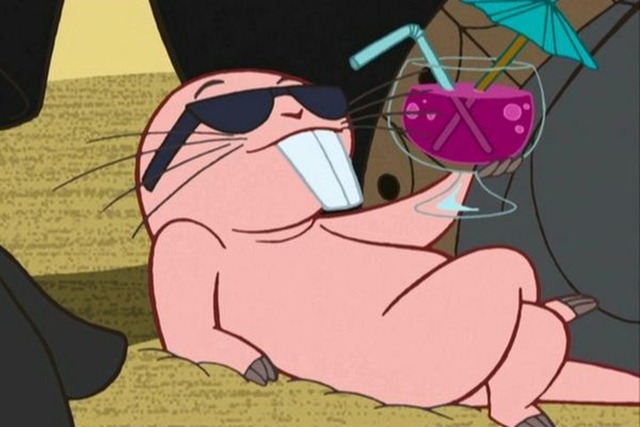 naked mole rat