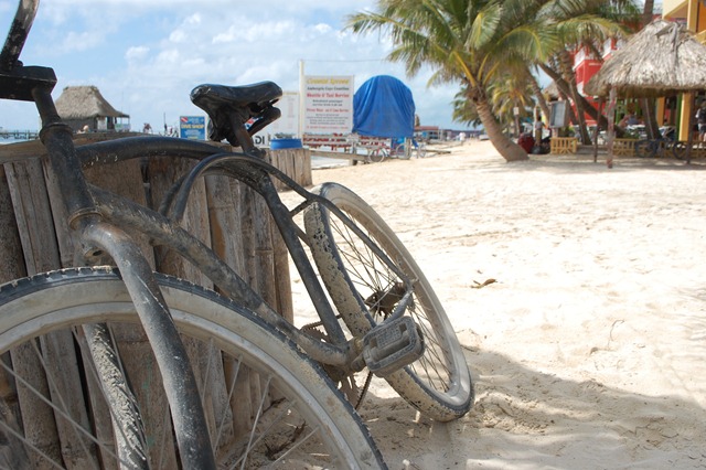 CAN YOU BELIZE IT! 230