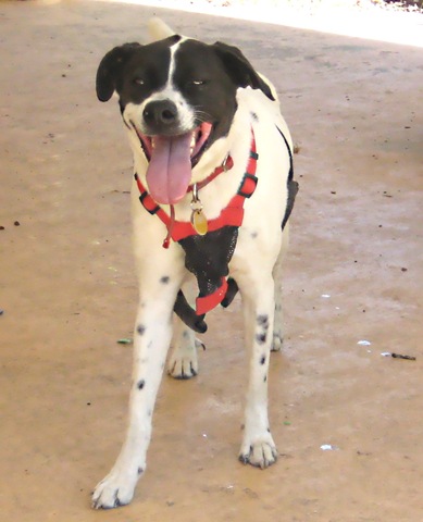 [Rocco[10].jpg]