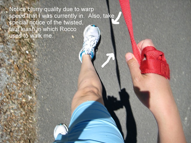 [feet[4].jpg]