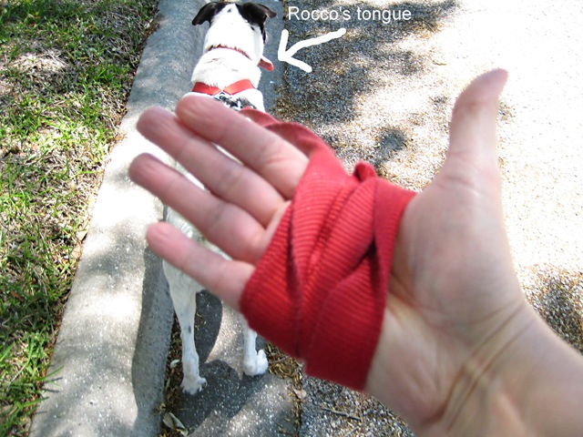 [hand[4].jpg]