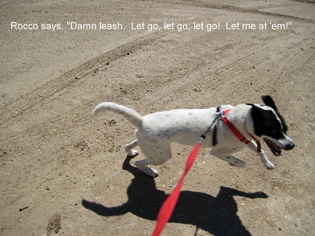 [let go[4].jpg]