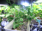 May04_Set-up_close_up