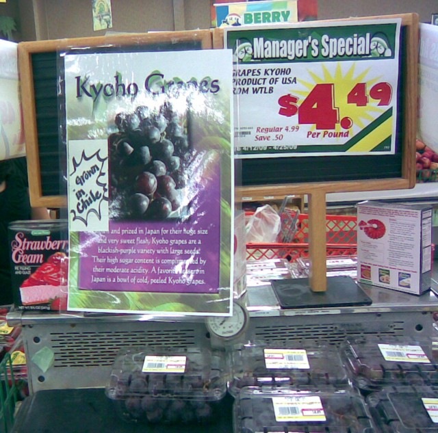 [Grapegripe6.jpg]