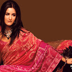 katrina_kaif_002_1024x768_mwks.jpg