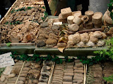 DSC05018.JPG