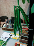 DSC05057.JPG