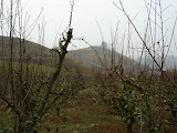 DSC05073.JPG