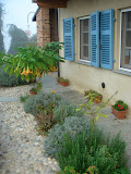 DSC05086.JPG