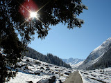 DSC04949.JPG