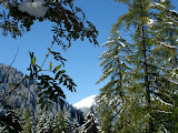 DSC04942.JPG