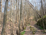 P1000197.JPG