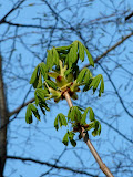 P1000400.JPG