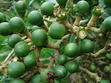 sn_14_kt (18).JPG